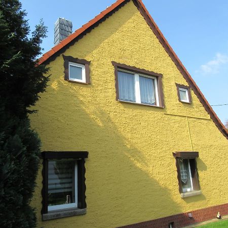 Ferienwohnung Sommer Friedrichsbrunn Zewnętrze zdjęcie
